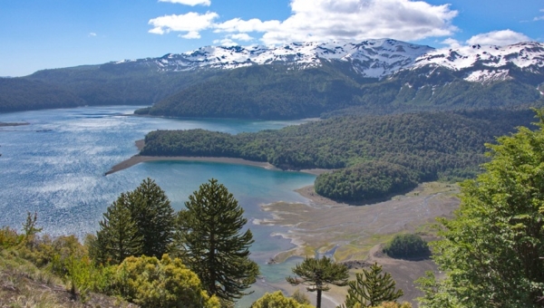 Territorio Mayor busca fortalecer ecosistema de emprendimiento en torno al Geoparque Kutralkura